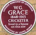 Image for W G Grace - Lawrie Park Road, London, UK