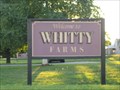 Image for Berry Picking - Whitty Farms