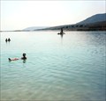 Image for The Dead Sea - Ein Bokek, Israel