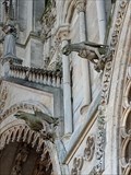 Image for Gargouilles de la Cathédrale Notre-Dame  (Amiens, Hauts-de-France, France)