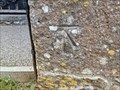 Image for Benchmark - St Nicholas - Combe Raleigh, Devon