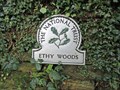 Image for Ethy Woods,  Lerryn, Cornwall.