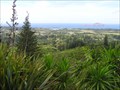 Image for Mount Pitt Reserve Conservation Area, Mount Pitt Rd, Burnt Pine, Norfolk Island.