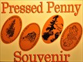Image for The Petrified Forest Penny Smasher