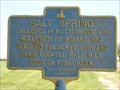 Image for The Salt Spring