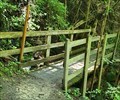Image for Hiking Path Footbridge Dachspfad - Agarn, VS, Switzerland