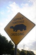 Image for Gopher Tortoise Crossing-Sanibel Island,FL