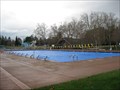 Image for Amador Valley Community Park Pool - Pleasanton, CA