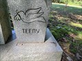 Image for Mary Weaver Raper -Auburn Christian Church Cemetery - Raleigh, North Carolina, USA