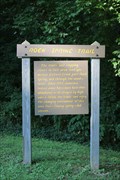 Image for Natchez Trace: Rock Spring Trail nr Tennessee River, Lauderdale Co. AL