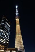 Image for Skytree at Night - Tokyo, JAPAN