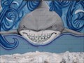 Image for Shark Teeth - Englewood, CO