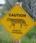 Image for Ocelot Crossing