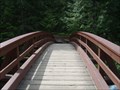 Image for Foot bridge - Little Qualicum River trails