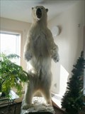 Image for Polar Bear - Churchill MB