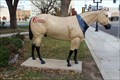 Image for Amarillo Super Spirit - Hoof Prints of the American Quarter Horse - Amarillo, TX
