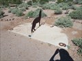 Image for Coyote Sundial in Superstition Mountain State Park - Apache Junction Arizona
