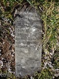 Image for Pet In A Churchyard - Woodville VA