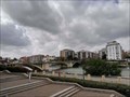 Image for Rescatan a una mujer que se había caído al río desde el Puente de San Telmo - Sevilla, Andalucía, España