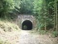 Image for Moonville Tunnel  -  Zileski State Forest, OH