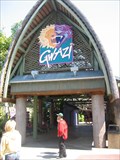 Image for Gwazi - Busch Gardens, FL