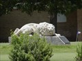 Image for Lions Municipal Golf Course - Austin, Texas, USA
