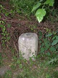 Image for MASDIX West Line Stone 110, 1767, Pennsylvania-Maryland