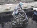 Image for Sea Lion Fountain and Pool - Springdale AR