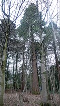 Image for Redwoods, Akay, Sedbergh, Cumbria