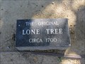 Image for Lone Tree - Hayward, CA