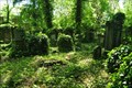 Image for Cmentarz Zidowski - Wroclaw, Poland