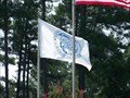 Image for Mecklenburg Co. Flag, Charlotte, NC