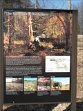 Image for The Battle of the Wilderness - Locust Grove VA