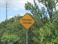 Image for Crocodile Crossing - Key Largo, Florida, USA