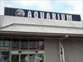 Image for Sydney Aquarium - Sydney, Australia