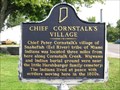 Image for Chief Cornstalk's Village