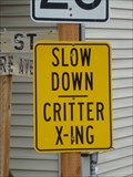 Image for Slow Down - Critter Crossing - Ophir, Utah