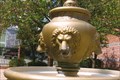 Image for Thirsty Lions - Mottaz Park - Auxvasse, MO