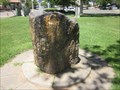 Image for Hale Park Petrified Tree  - Lodi, CA