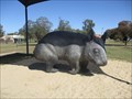 Image for Wombat - Thallon, Qld, Australia