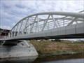 Image for Bridge of Friendship - Vukovar Croatia
