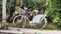 Image for Ghostbike for Alice & Miki - Goes, NL