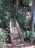 Image for Bent Creek Bridge, Juan De Fuca Marine Trail - Vancouver Island, Canada