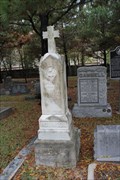 Image for William Gammell "Willie"  Robinson -- Washington Cemetery, Houston TX