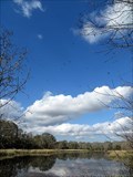 Image for Brazos Bend State Park - Local Tourism Attraction - Houston, TX