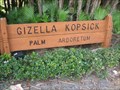 Image for Gizella Kopsick Palm Arboretum - St Pete