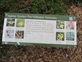 Image for San Francisco State University Butterfly Garden  - San Francisco, CA