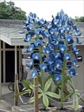 Image for Bluebonnet Flowers - Burnet, TX