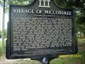 Image for Village of Miccosukee