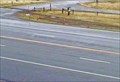 Image for MacDonald Pass Roadway Web Camera - Helena, MT